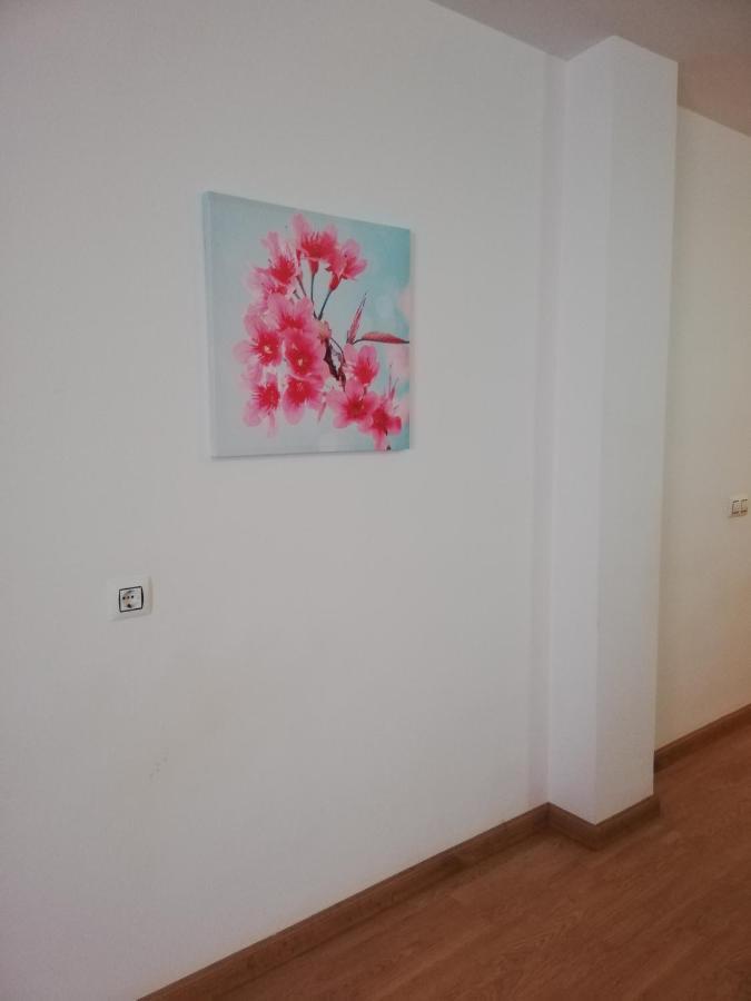 Apartamento En Primera Linea De Vera Playa Naturista! Екстер'єр фото