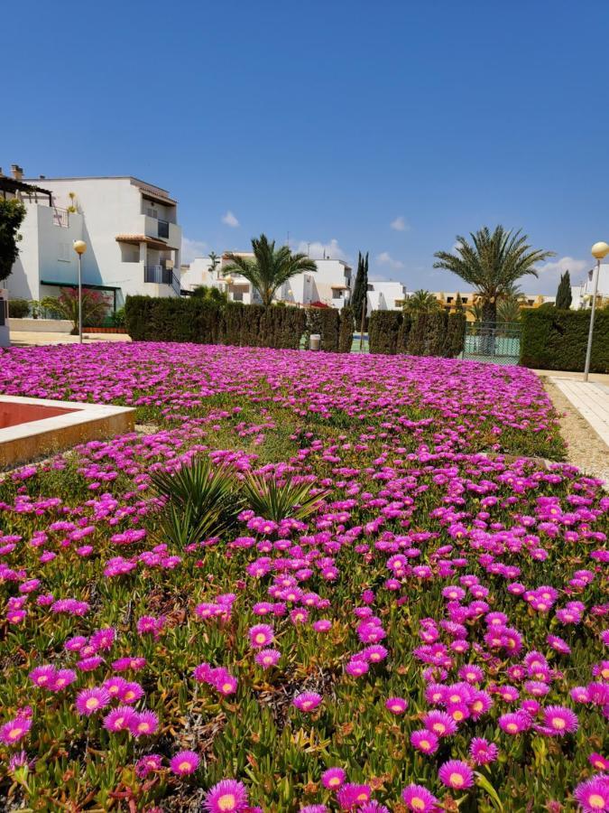 Apartamento En Primera Linea De Vera Playa Naturista! Екстер'єр фото
